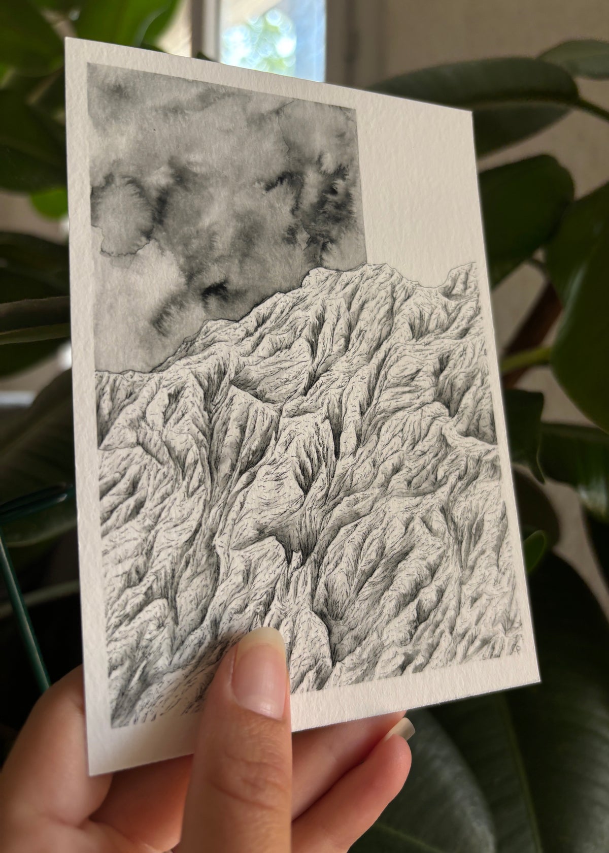 Vue de profil du Tirage fine art de la montagne contrôle réalisée à l'encre de chine en noir et blanc au format carte postale 10 x 15 cm tenu par l'artiste devant une plante verte