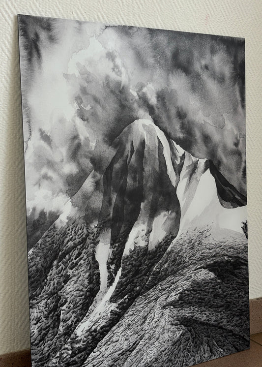 reproduction peinture noir et blanc du Cagire sur de l'aluminium dibond au format 60 x 80 cm pour une oeuvre d'art grand format rigide et à l'épreuve du temps