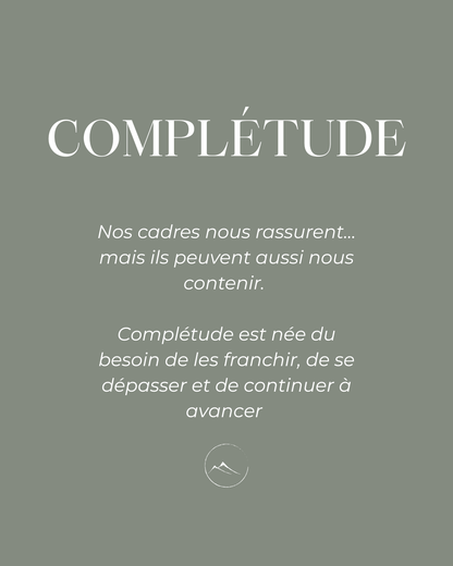 description des premiers sentiments d'où est née la peinture complétude, une peinture de montagne à l'encre de chine qui s'échappe de son cadre 