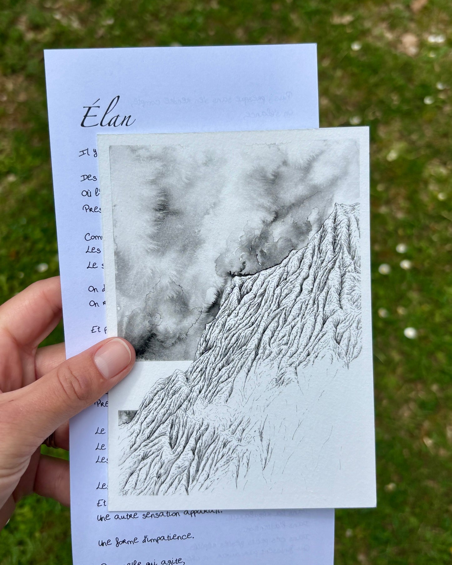 Edition "élan" de la correspondance à l'encre des cimes de Coline Pratviel, on peut voir ici le tirage d'art au format carte postale de 10 x 15 cm avec un morceau de la lettre manuscrite du mois accompagnant cette oeuvre au dessus d'herbe 