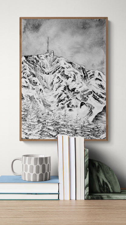 Peinture du Pic du Midi de Bigorre et de sa forêt, affiché au dessus de livres,  tirage fine art qualité muséale, art pour les amoureux de la nature, montagne noir et blanc, idée cadeau Pyrénées