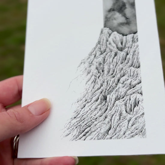 Vidéo de complétude tirage d art de l édition de mars de la correspondance à l encre des cimes , on peut y voir l'affiche au format carte postale : 10 x 15 cm 