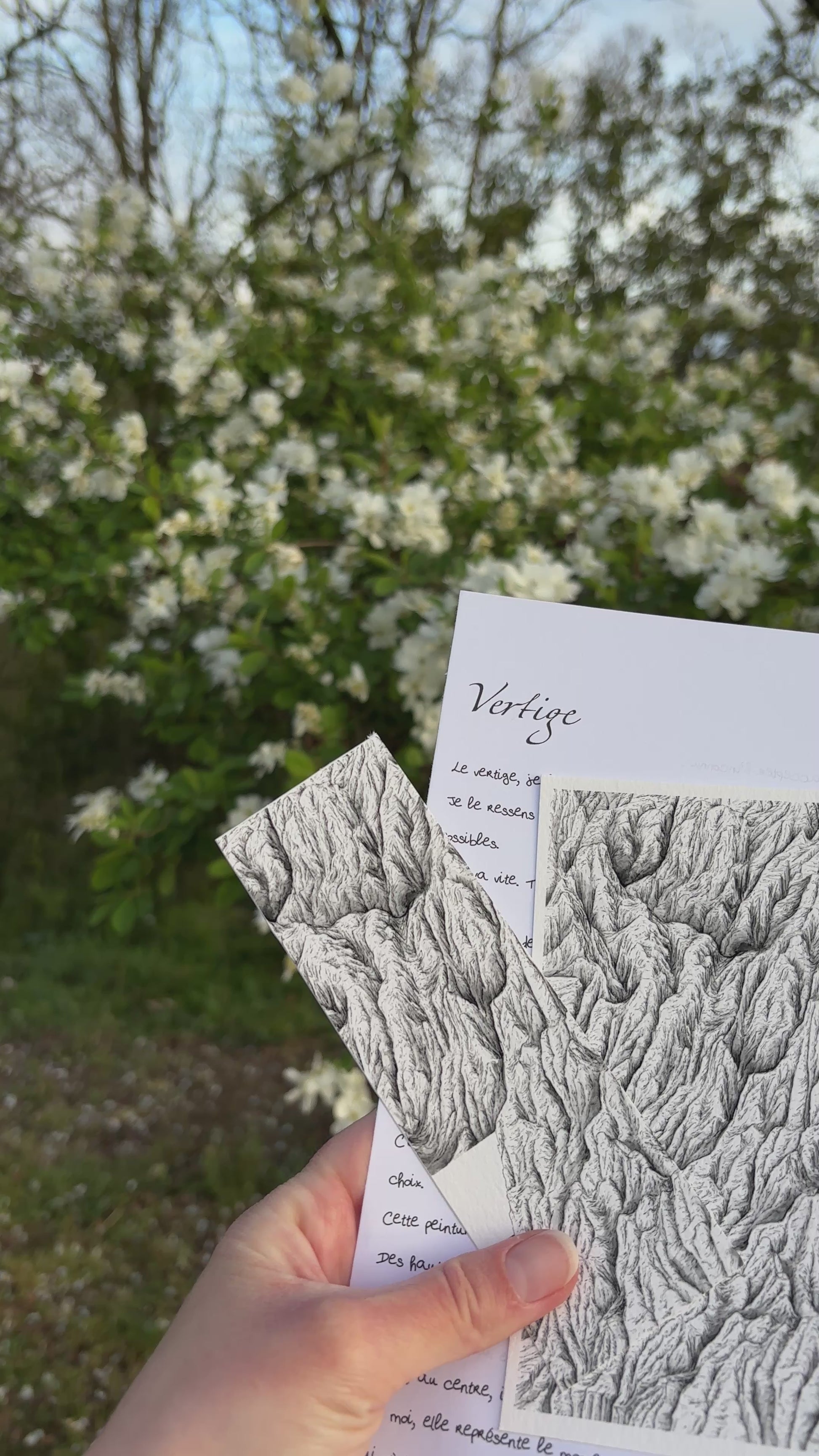 Vidéo de l'apercu de la correspondance à l'encre des cimes du mois d'avril nommée vertige , ont peut voir sur cette image la lettre manuscrite du mois, l'impression fine art au format 10 x 15 cm ainsi que le marque page tiré de la peinture originale. Les 3 sont tenus par une main au-dessus d'herbe et devant un buisson fleurit blanc, renforçant l'ambiance zen et naturelle de correspondance faite pour ralentir. idée cadeau montagne, correspondance mensuelle physique, encre de chine