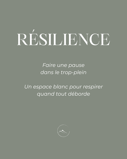 Présentation en quelques lignes de la peinture résilience à l'encre de chine et de sa signification 